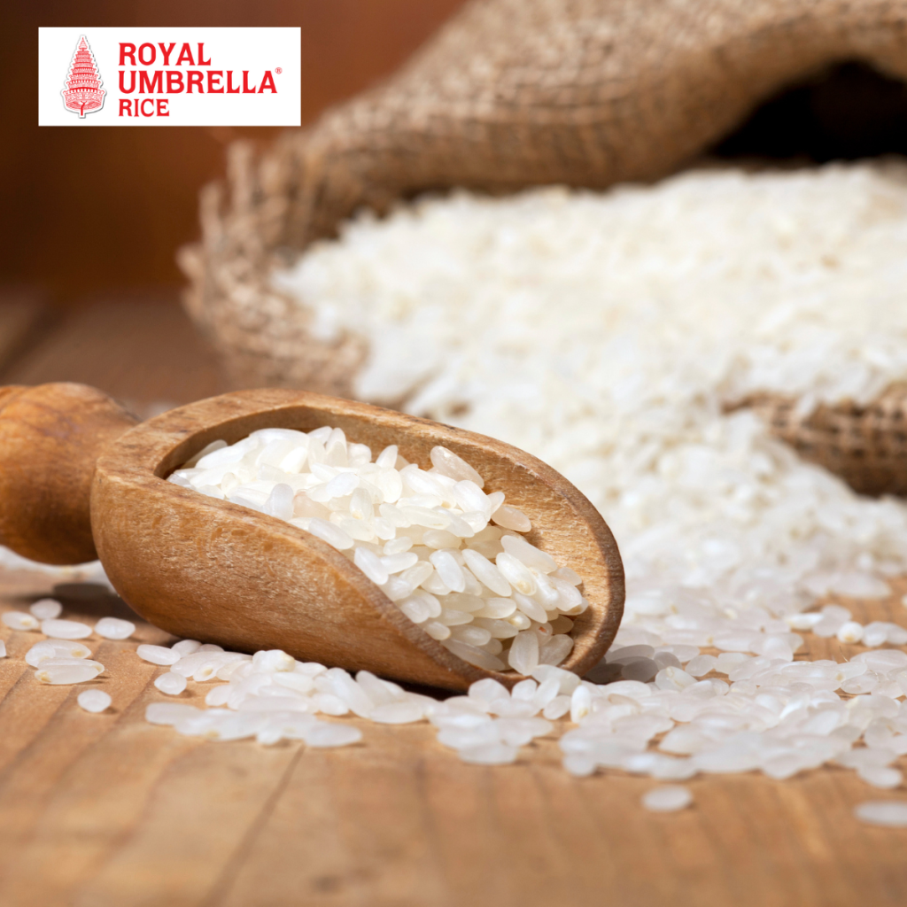 What is the difference between Fragrant rice VS Thai Jasmine rice?