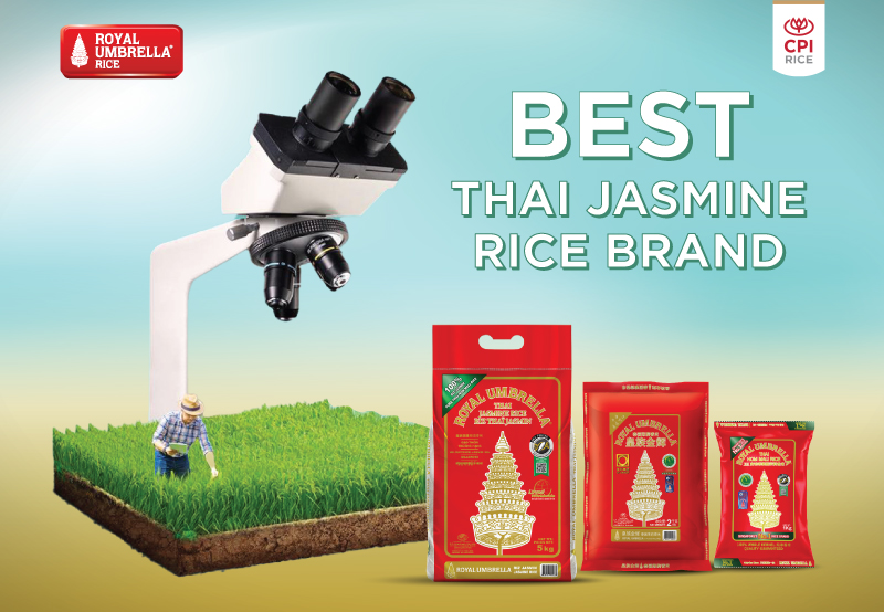 Castillo Brand Rice Best Thai Jasmine Rice Brand | Royal Umbrella