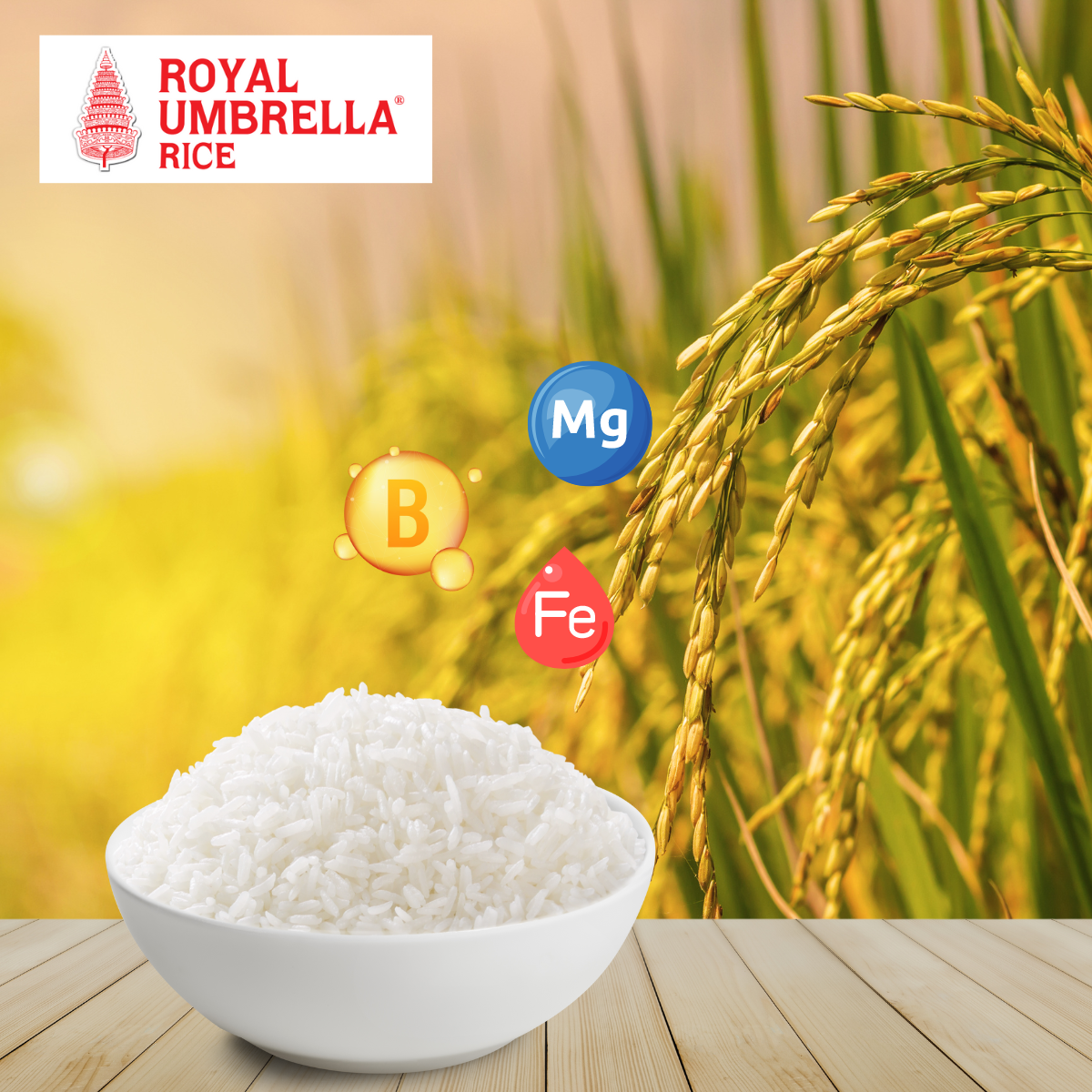 Homay Or Rice The Nutrients You Can Get From Thai Hom Mali Rice