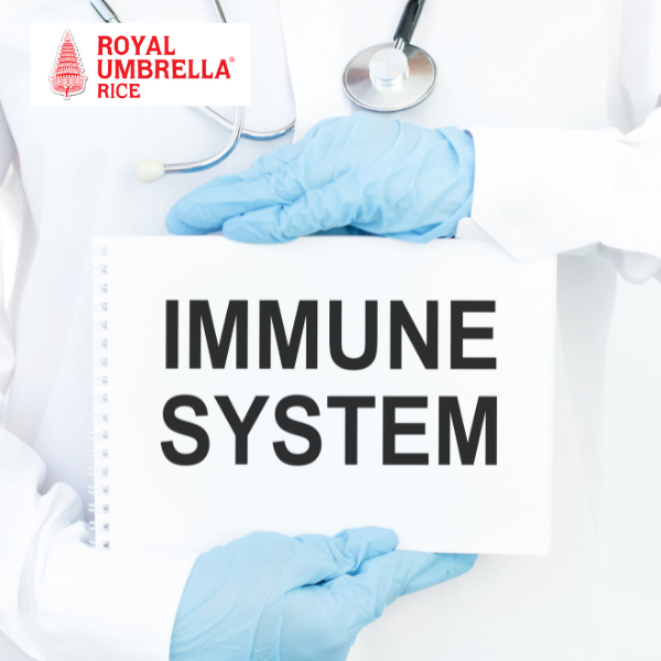 5 advantages of consuming Thai jasmine rice (6)