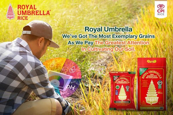 Royal Umbrella We’ve got the most exemplary grains as we pay the greatest attention in cultivating our soil.